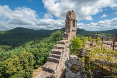ChateauFleckenstein007