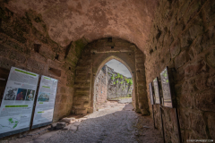 ChateauFleckenstein009