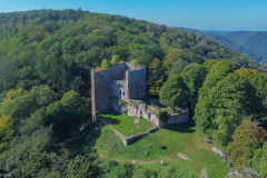 Vue aérienne du château de la Wasenbourg (Niederbronn / Bas-Rhin)