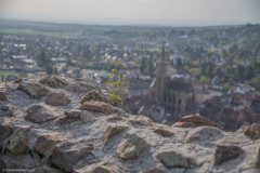 ChateaudelEngelbourg005
