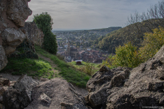 ChateaudelEngelbourg019