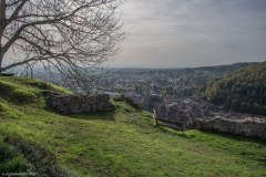 ChateaudelEngelbourg021