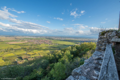 ChateaudelOrtenbourg009