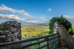 ChateaudelOrtenbourg018
