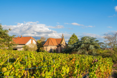 ChateaudelOrtenbourg021