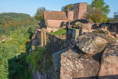 ChateauDeLutzelbourg003