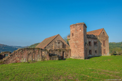 ChateauDeLutzelbourg004