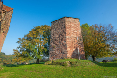 ChateauDeLutzelbourg005