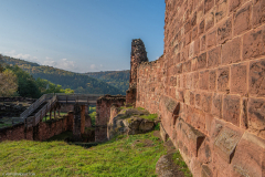 ChateauDeLutzelbourg012