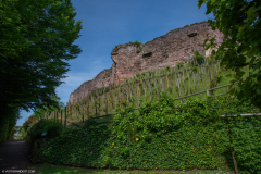 ChateauEpinal018