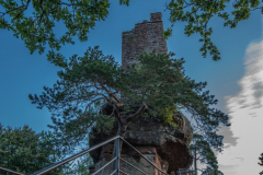 ChateaudeWaldeck008