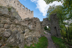 ChateauduBernstein005