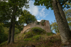 ChateauduBernstein024