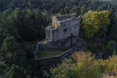 ChateauduBirkenfels007