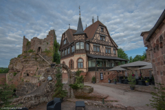 ChateauduHautBarr016