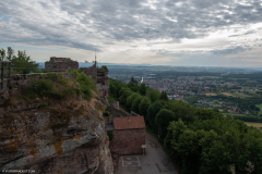 ChateauduHautBarr023