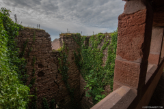 ChateauduHautBarr031