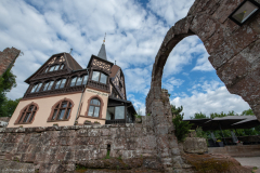 ChateauduHautBarr035
