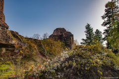 ChateauduHohenbourg004