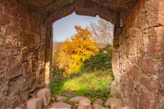 ChateauduHohenbourg006