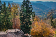 ChateauduHohenbourg011