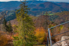 ChateauduHohenbourg012