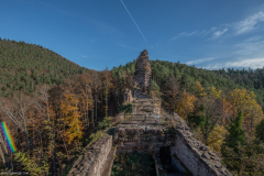 ChateauduWasigenstein005