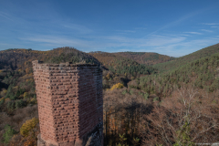 ChateauduWasigenstein006