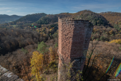 ChateauduWasigenstein007