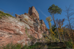 ChateauduWasigenstein011