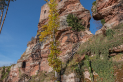 ChateauduWasigenstein012