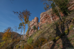 ChateauduWasigenstein013