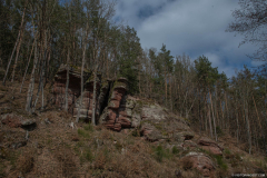 ChateauFreudeneck001