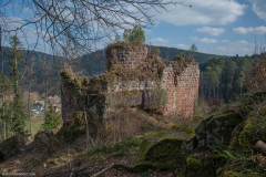 ChateauFreudeneck005