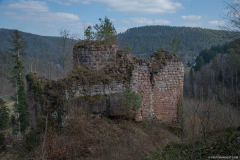 ChateauFreudeneck008