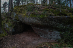 ChateauFreudeneck009