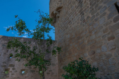 ChateauHohlandsbourg031
