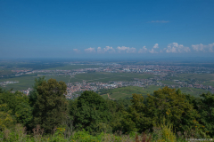 ChateauHohlandsbourg033