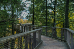 BoucleSarreAutomne016