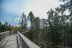 BoucleSarreAutomne017