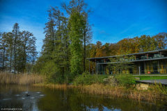 BoucleSarreAutomne028