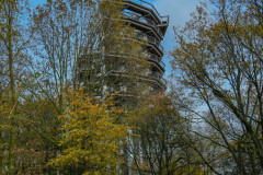 BoucleSarreAutomne029