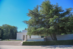 CimetiereUSEpinal004
