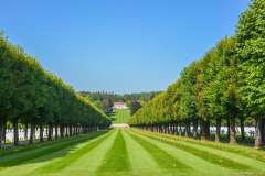 CimetiereUSMontfaucon021
