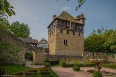 EcomuseedAlsace017
