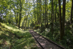FortdeVerny009