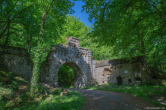 FortDriantPrintemps005