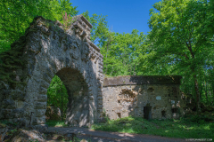 FortDriantPrintemps010