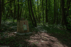 FortDriantPrintemps021