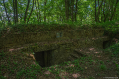 FortDriantPrintemps022